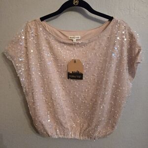 Main Strip Blush Sequin Blouse